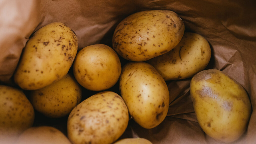 Kartofler til kartoffelmos